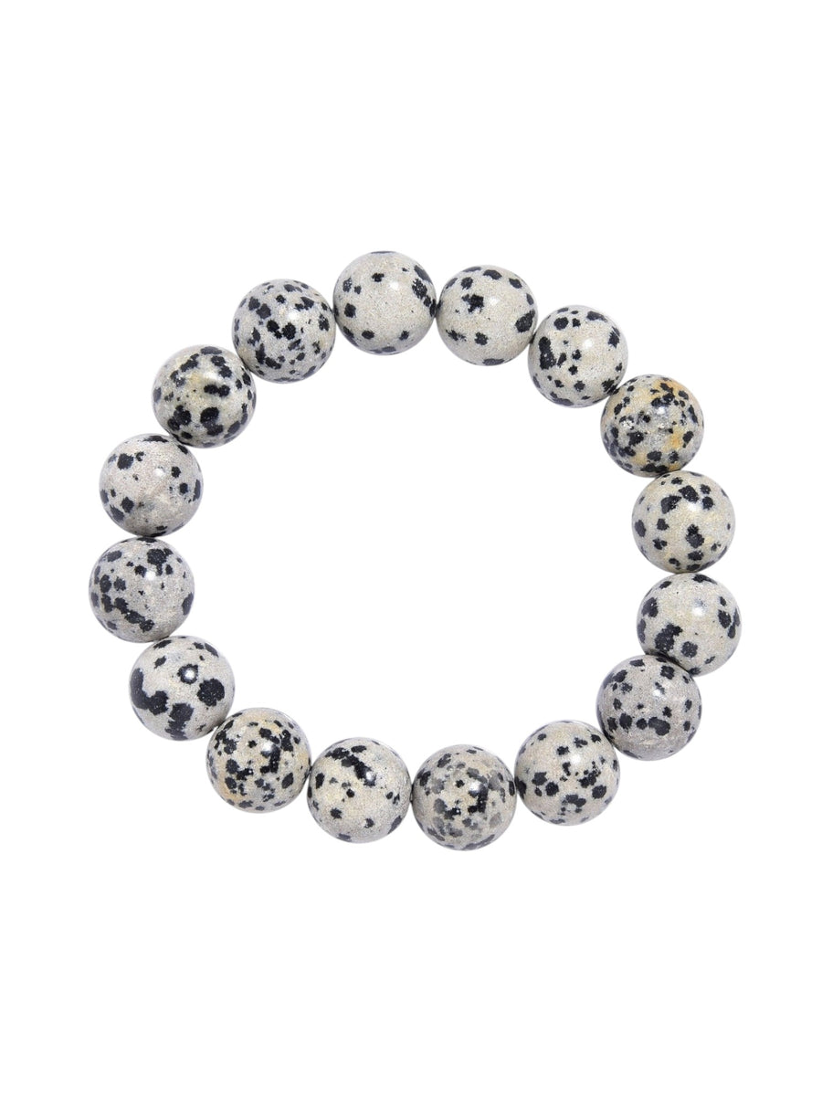 Dalmatian Jasper Bracelet B1990-12MM