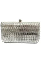 Silver Rounded Rectangle Box Evening Bag HB2408