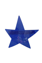 Star Shaped Acryli Hair Clip L3854