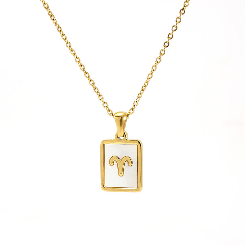 12 Constellations Square Stainless Steel Necklace N4398