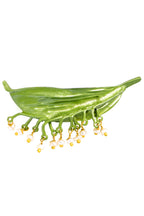 Leaf Alloy Brooch PA3358