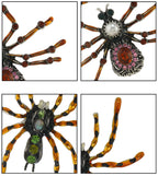 Spider Alloy Brooch PA5232 - view 8